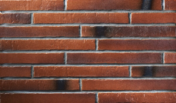 Barking terra rood zwart steenstrip