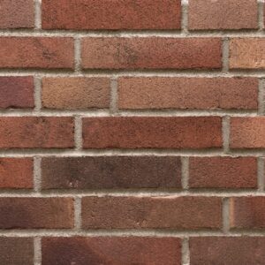 Raunds terra bruin steenstrip