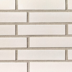 White witte steenstrip specialis